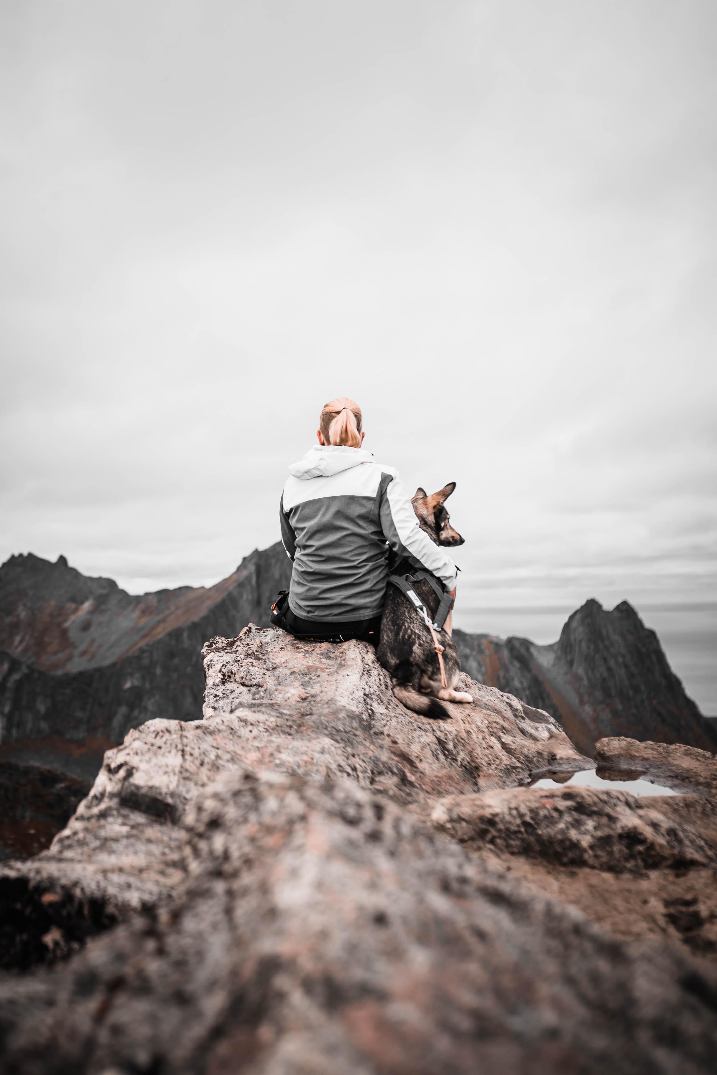 Anne and her dog sitting on a mountain ridge, facing the wild terrain together.