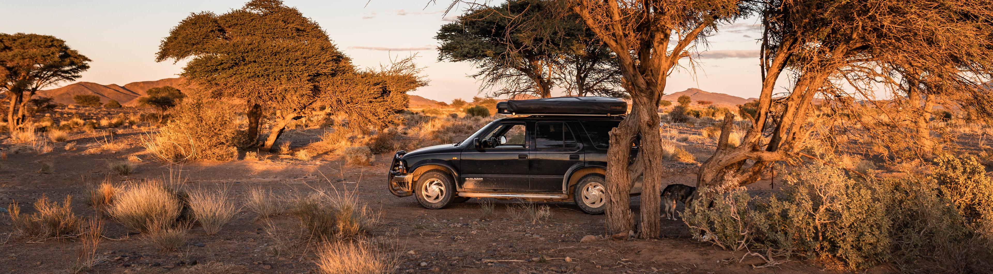 TO1999 Chevy Blazer parked beneath an acacia tree at sunset in Morocco, reflecting AppSec built from the road.DO