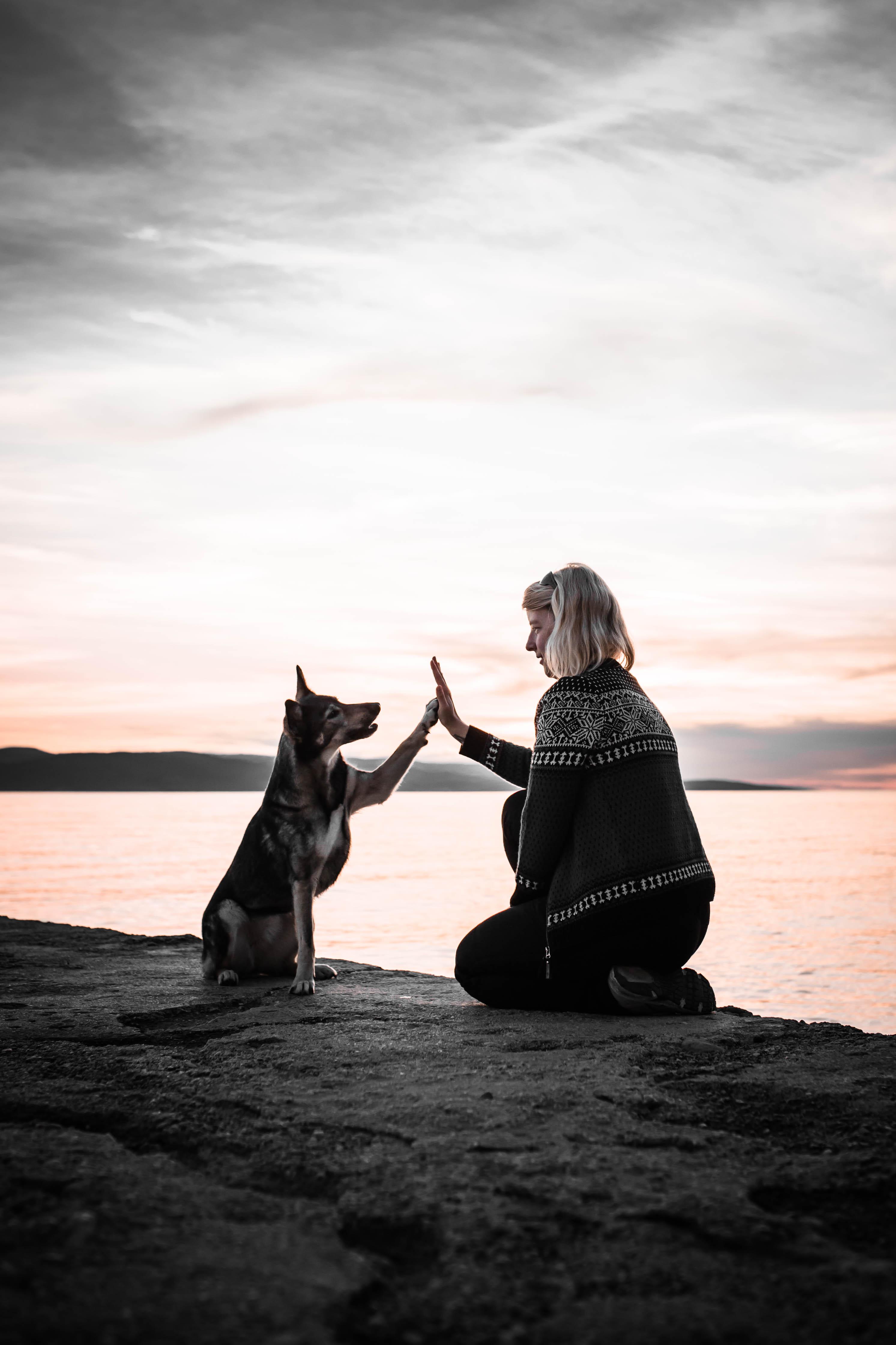 Anne and Suschka high five at sunset Anne and Suschka giving each other a high five on a rocky shore at sunset, reflecting guidance, trust, and the kind of confident collaboration the Trail Guide is built for.