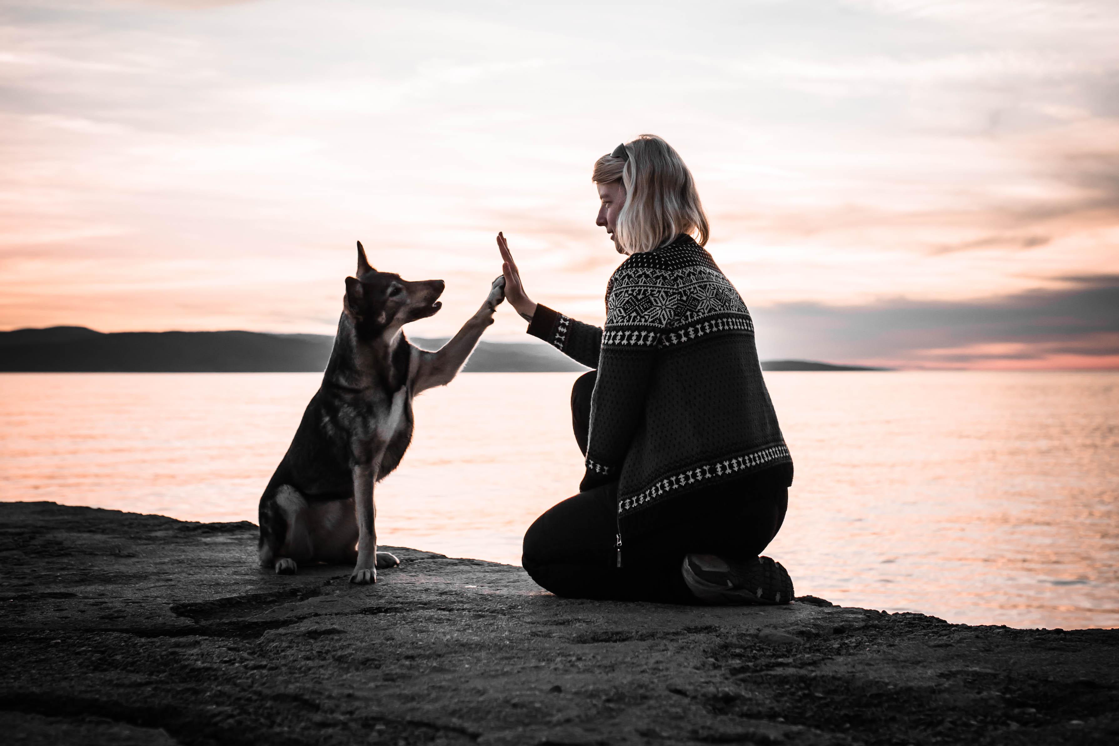 Anne and Suschka high five at sunset Anne and Suschka giving each other a high five on a rocky shore at sunset, reflecting guidance, trust, and the kind of confident collaboration the Trail Guide is built for.